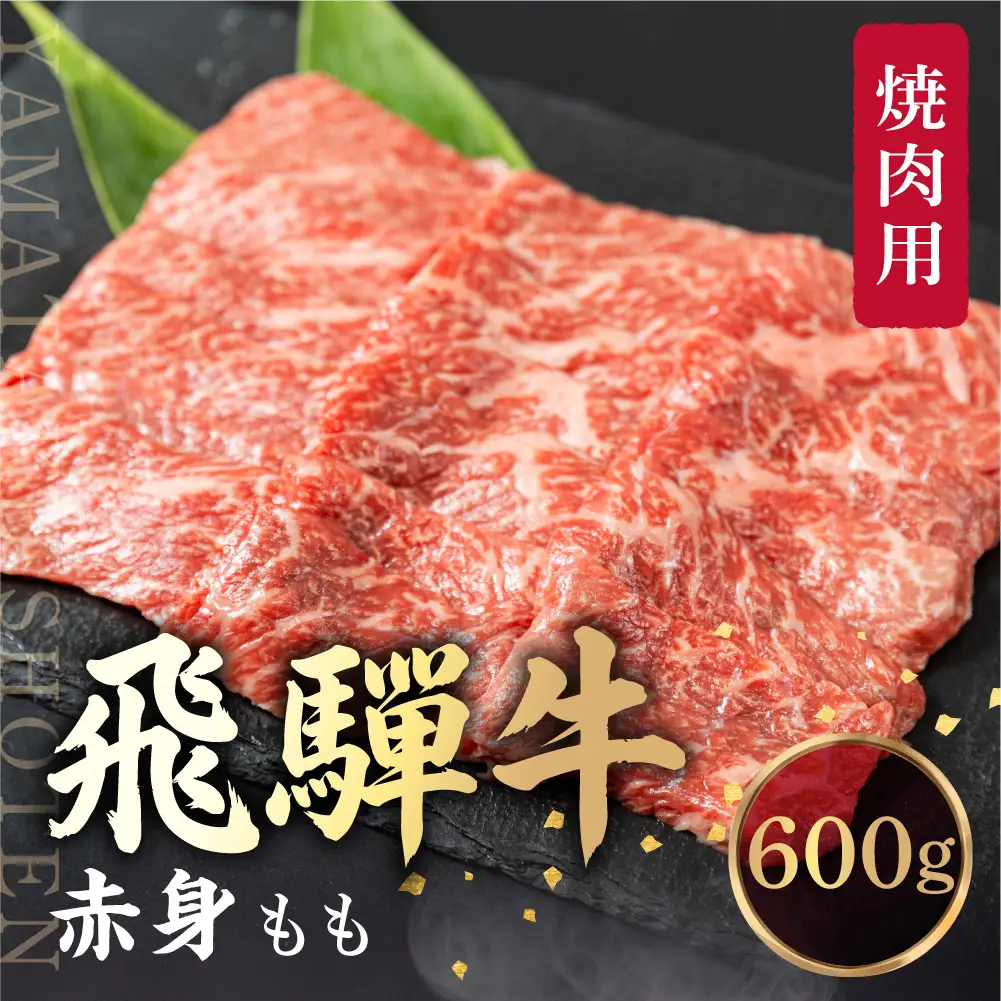 飛騨牛 もも 焼肉用 600ｇ 肉 ブランド牛 黒毛和牛 もも肉    飛騨牛 山武商店 LZ008▲