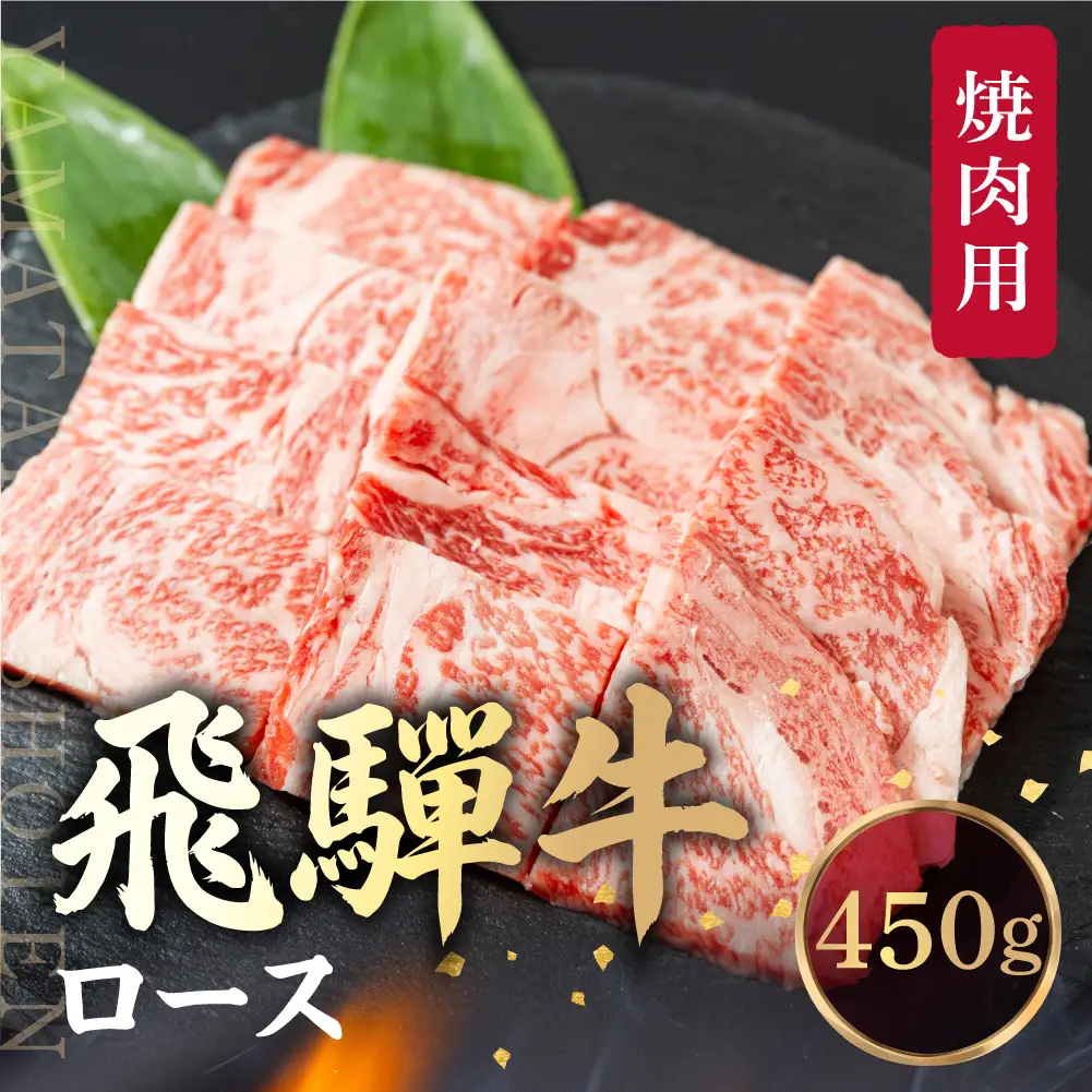 飛騨牛 ロース 焼肉 450ｇ 霜降り ブランド牛  肉 飛騨牛 山武商店 LZ010