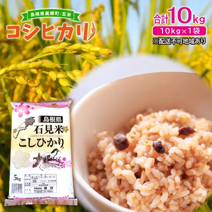 〈先行予約〉新米 令和6年産 美郷町産コシヒカリ 玄米 10kg【お米 10kg 1袋 玄米 ブランド米 米 こしひかり お米 先行予約 2024年産】