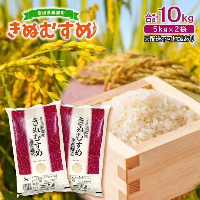 美郷町産きぬむすめ 10kg【お米 10kg 5kg×2袋 精米 白米 ブランド米 米 きぬむすめ お米】