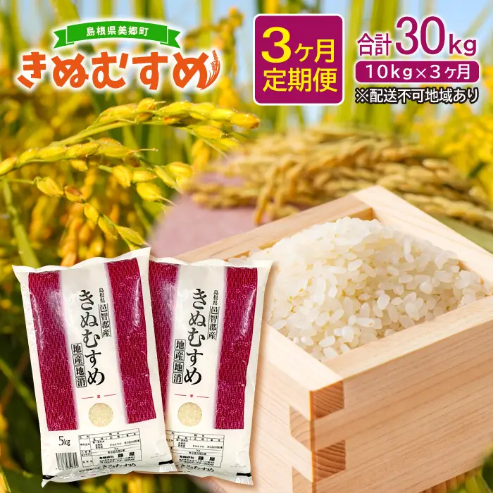 【定期便3ヶ月】美郷町産 きぬむすめ 10kg【定期便 3回定期 米 お米 精米 白米 ブランド米 きぬむすめ 5kg×2袋 10kg×3回 合計30kg 】