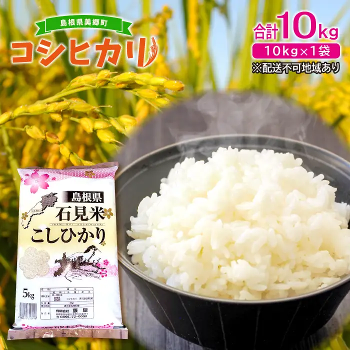 〈先行予約〉新米 令和6年産 美郷町産コシヒカリ 白米 10kg【お米 10kg 1袋 精米 ブランド米 米 こしひかり お米 先行予約 2024年産】