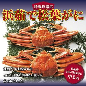 鳥取賀露港 浜茹で松葉がに【かねまさ・浜下商店】