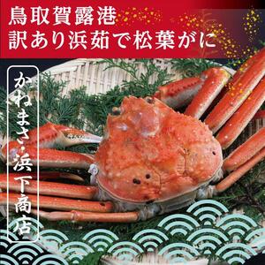鳥取賀露港 訳あり浜茹で松葉がに 大 1枚【かねまさ・浜下商店】