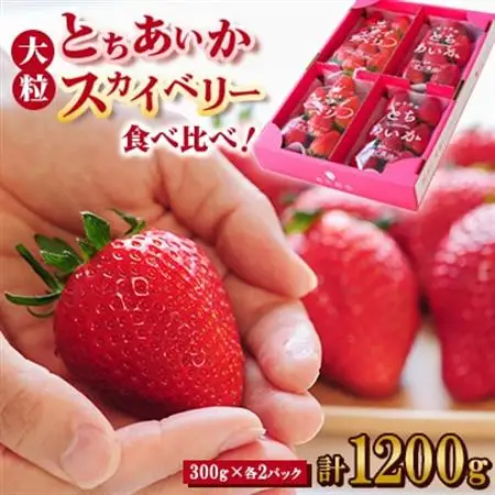 【春イチゴ】 食べ比べ!大粒『スカイベリー』、『とちあいか』300g×2パックずつ_果物・フルーツ いちご  イチゴ 苺_【配送不可地域：離島】【1291781】
