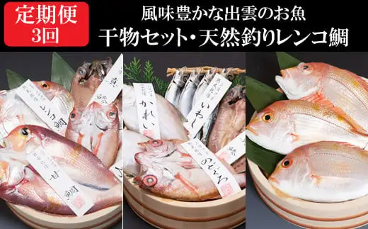 【定期便3回】風味豊かな出雲のお魚詰合せをお届けします！