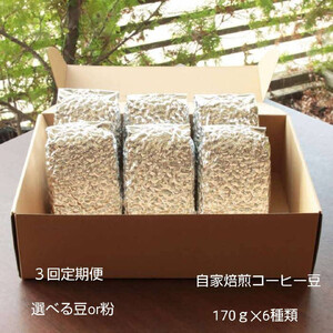 【定期便3回】米国スペシャリティー認定豆170ｇ×6袋を毎月お届け！