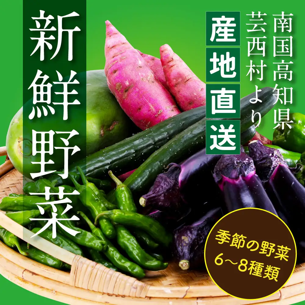 【ふるなびWEEK対象】朝どれ！野菜の詰合せ／芸西村で採れた新鮮な野菜6～8種類をお届けします。FN-Limited-WE