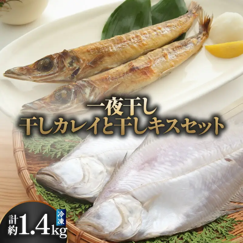 一夜干し 干カレイと干キスセット 山陰沖で水揚げ 海鮮 33-12