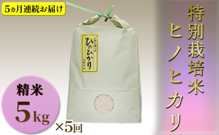 お米 定期便 ヒノヒカリ 5kg 5回 お米