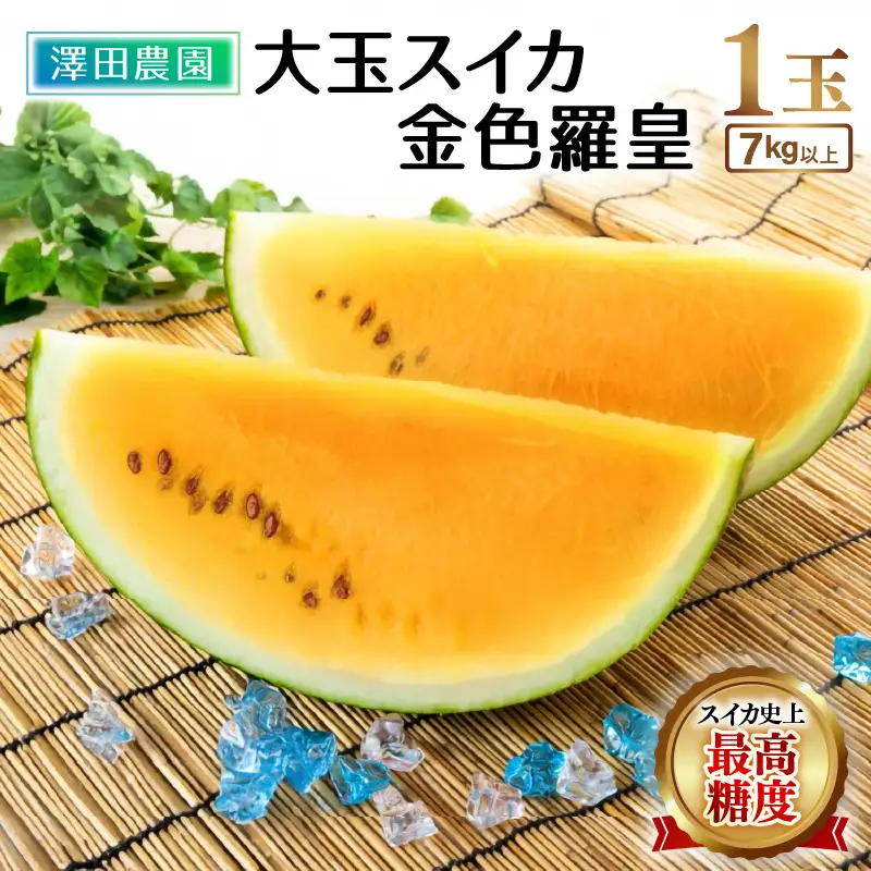【先行予約】大玉スイカ『金色羅皇』（7kg以上 1玉入） スイカ史上 最高糖度！ ／ あわら 果物 フルーツ 高糖度 すいか 産地直送 ※2027年6月中旬より順次発送 [aw039-a025]