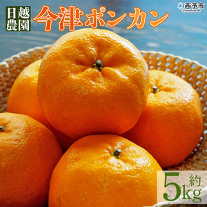 日越農園 愛媛県明浜産 今津ポンカン 5kg AHN0001