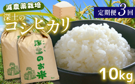 定期便3回 深土の特別米コシヒカリ 10kg×3(2ヶ月毎×3回)