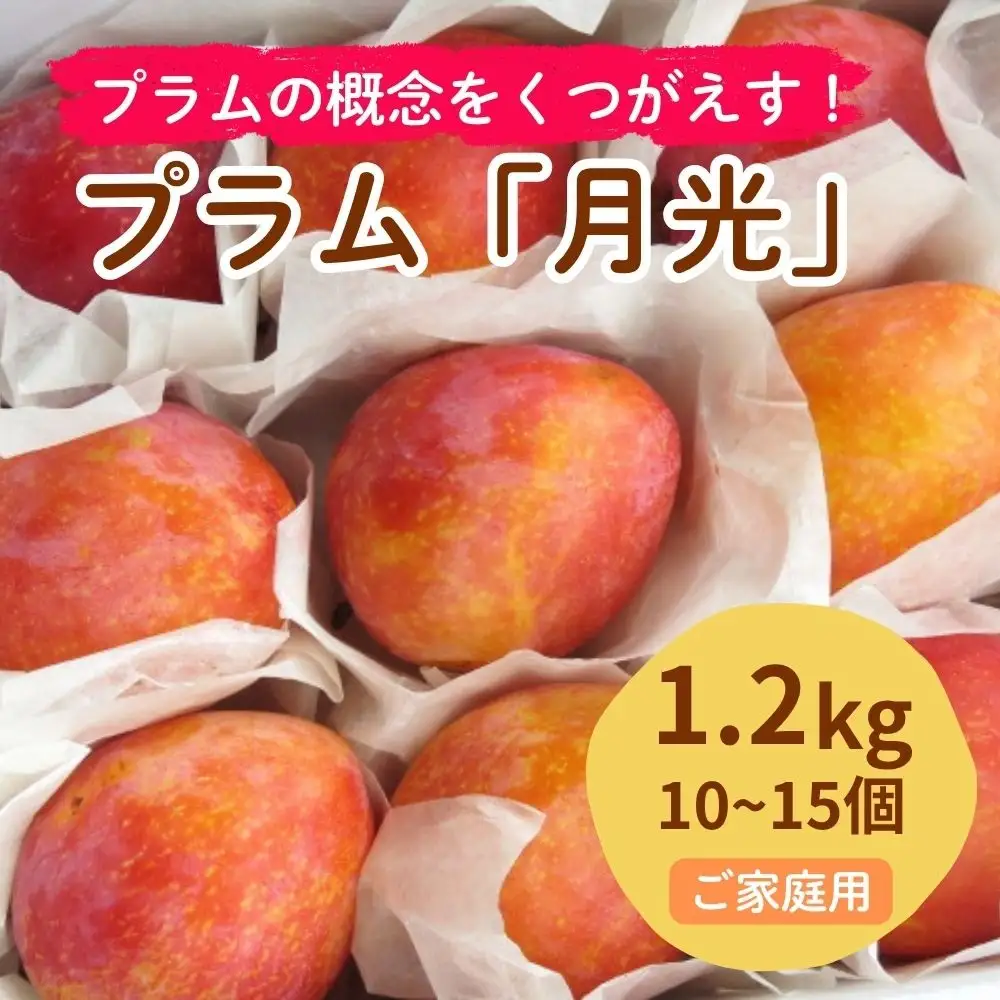 プラム（月光）１.２ｋｇ　ご家庭用　0075-2603