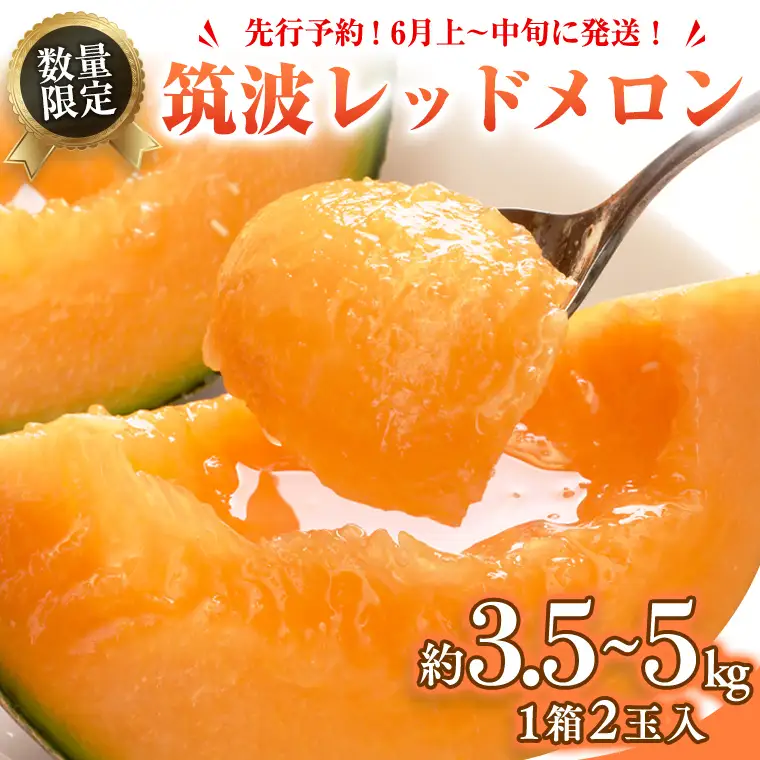 メロン 筑波レッドメロン 1箱 2玉 約3.5~5kg 八千代町産 先行予約