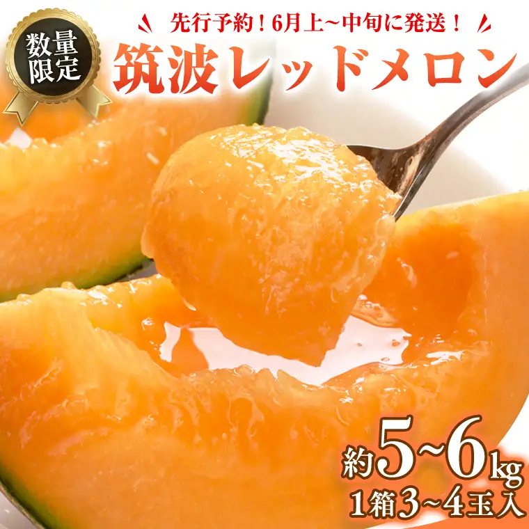 メロン 筑波レッドメロン 1箱 3玉~4玉  約5~6kg 八千代町産 先行予約