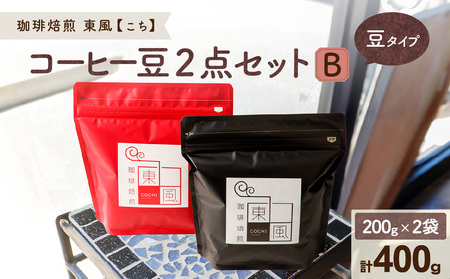 自家焙煎　東風（こち）コーヒー豆2点セットB