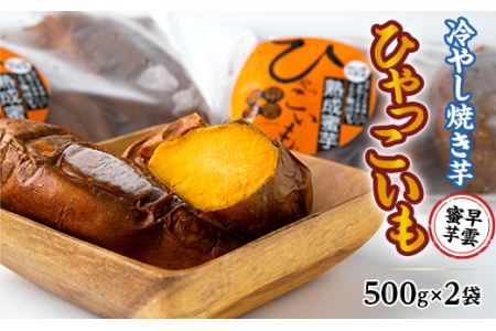 【早雲蜜芋】冷やし焼き芋「ひゃっこいも」500g×2袋