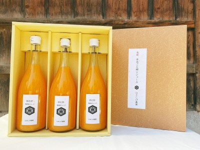 ひさしげ農園 　せとかジュース３本入