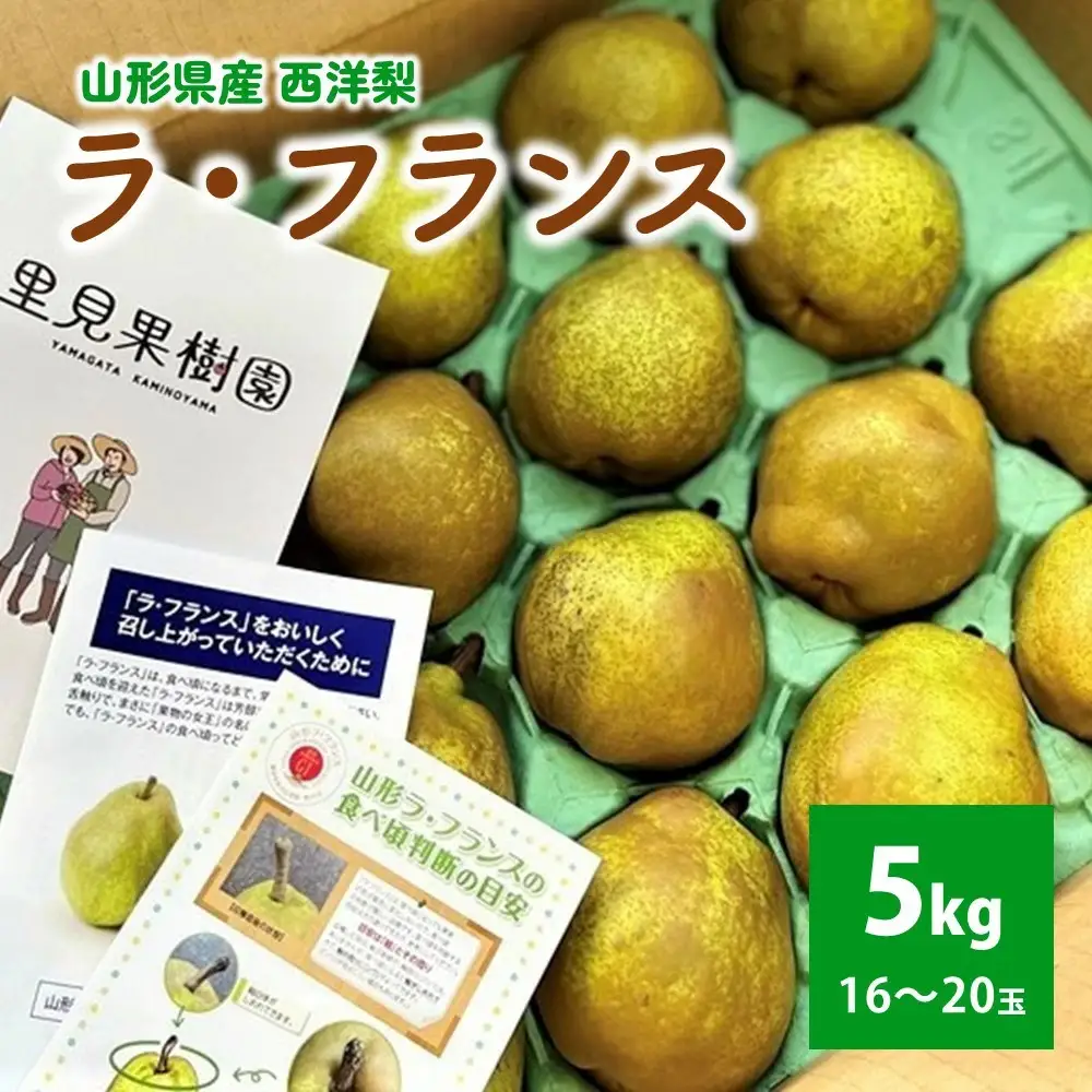 西洋梨（ラ・フランス）５ｋｇ　１６～２０玉　0079-2618