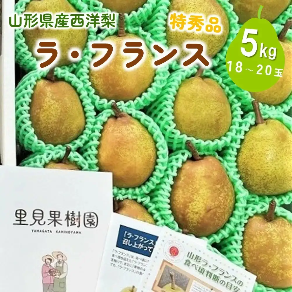 西洋梨（ラ・フランス）５ｋｇ　１８～２０玉　特秀品　0079-2620