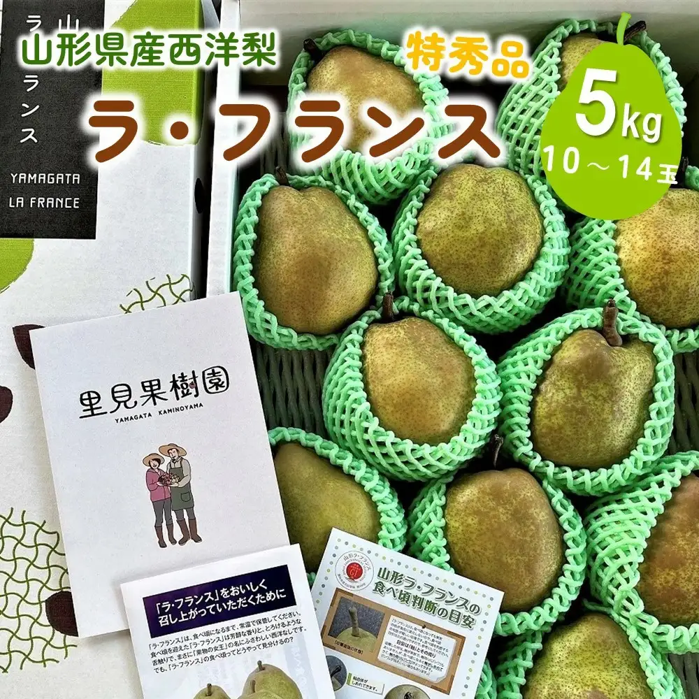 西洋梨（ラ・フランス）５ｋｇ　１０～１４玉　特秀品　0079-2622