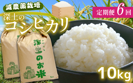 定期便6回 深土の特別米コシヒカリ 10kg×6(2ヶ月毎×6回)