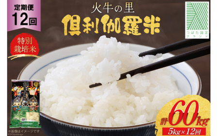 米 12回 定期便 火牛の里 倶利伽羅米 (特別栽培米) 5kg×12回 総計60kg