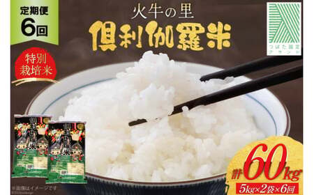 米 6回 定期便 火牛の里 倶利伽羅米 (特別栽培米) 10kg (5kg×2袋)×6回 総計60kg