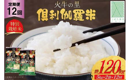 米 12回 定期便 火牛の里 倶利伽羅米 (特別栽培米) 10kg (5kg×2袋)×12回 総計120kg