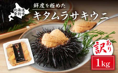≪規格外品≫キタムラサキウニ1kg（100gパック入り×10個）※2025年6月下旬～順次発送　【ウニ うに 雲丹 キタムラサキ 塩水 塩水パック 訳あり 訳アリ 規格外 】
