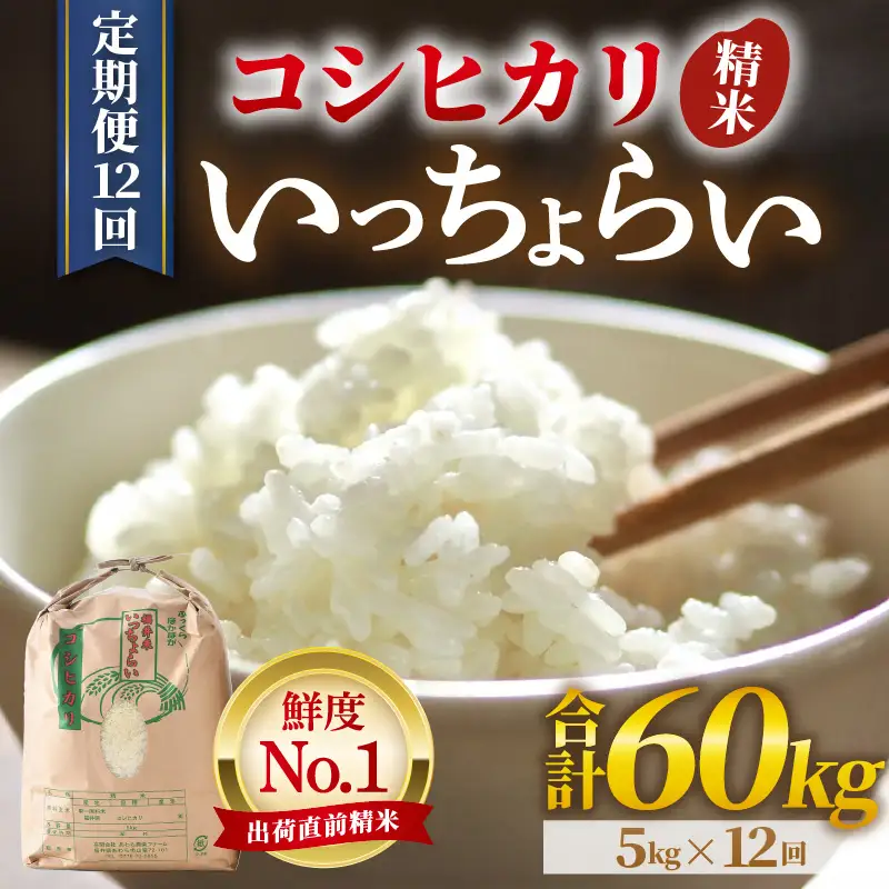 【先行予約】【令和8年産・新米】【一等米】《定期便12回》いっちょらい 精米 5kg × 12回（計60kg）／ 福井県産 ブランド米 コシヒカリ ご飯 白米 新鮮 大賞 受賞 新米 福井県あわら産 ※2026年10月上旬以降順次発送予定 [aw012-j005]