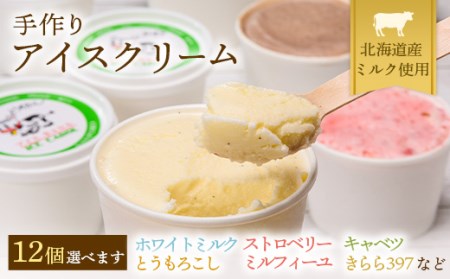 《2026年4月発送》北海道産 手作りアイスクリーム 120ml×12個セット (お好み詰め合わせ)  南幌町 国産 NP1-024