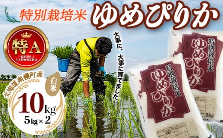 特別栽培米 ゆめぴりか 白米 5kg×2袋 令和7年産 今摺り米 北海道産 道産米 農家直送 NP1-408