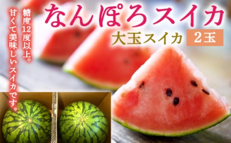 北海道産 大玉スイカ 2玉 約14kg なんぽろスイカ 糖度12度以上 8月発送 JAなんぽろ 南幌町 NP1-076 