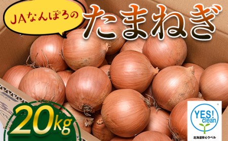 《期間限定》北海道産 なんぽろたまねぎ 20kg  JA 玉ねぎ 南幌町 NP1-272