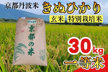 令和8年産 新米 きぬひかり 玄米 30kg 米