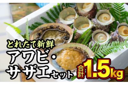  尾鷲産 活アワビ 活サザエ セット 1.5kg 大容量 産地直送 アワビ サザエ 生食 刺身 壷焼き バターソテー バーベキュー 新鮮 海鮮焼 浜焼  海の幸 貝　HA-64