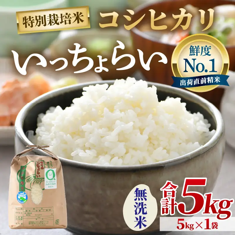 【先行予約】【令和8年産・新米】【一等米】特別栽培米 いっちょらい 無洗米 5kg ／ 福井県産 ブランド米 コシヒカリ ご飯 白米 新鮮 大賞 受賞 ※2026年10月上旬以降順次発送予定 [aw012-a041]
