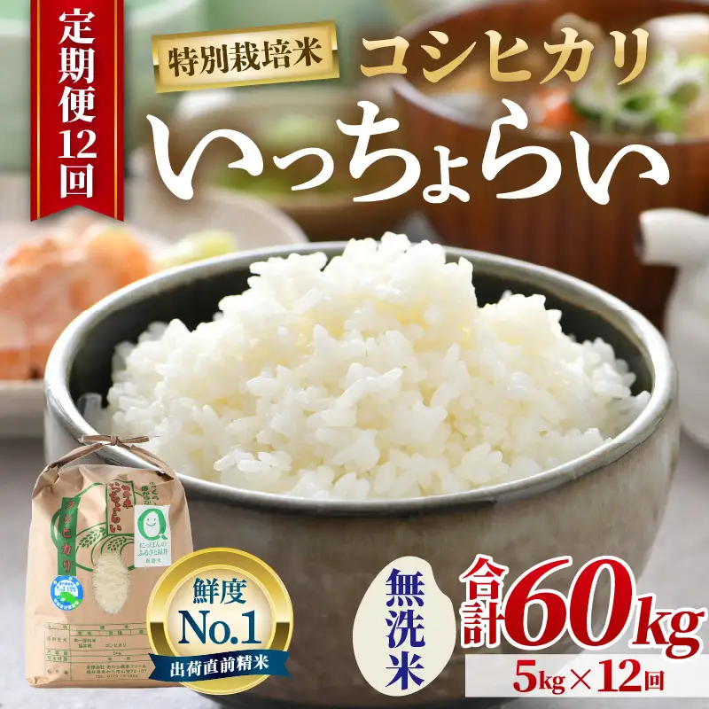 【先行予約】【令和8年産・新米】【一等米】《定期便12回》特別栽培米 いっちょらい 無洗米 5kg × 12回（計60kg）／ 福井県産 ブランド米 コシヒカリ ご飯 白米 新鮮 大賞 受賞 ※2026年10月上旬以降順次発送予定 [aw012-k014]