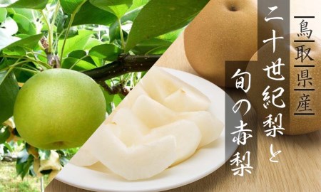 Y022 二十世紀梨と旬の赤梨セット 5kg