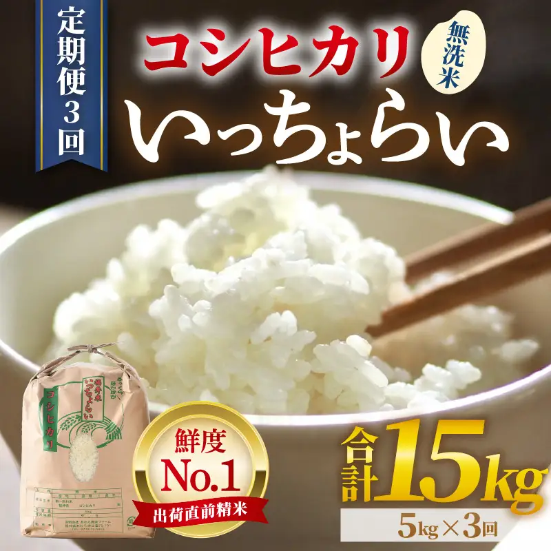 【先行予約】【令和8年産・新米】【一等米】《定期便3回》いっちょらい 無洗米 5kg × 3回（計15kg）／ 福井県産 ブランド米 コシヒカリ ご飯 白米 新鮮 大賞 受賞 ※2026年9月下旬以降順次発送予定 [aw012-b030]