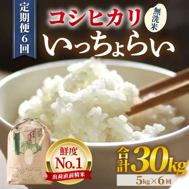【先行予約】【令和8年産・新米】【一等米】《定期便6回》いっちょらい 無洗米 5kg × 6回（計30kg） ／ 福井県産 ブランド米 コシヒカリ ご飯 白米 新鮮 大賞 受賞 ※2026年9月下旬以降順次発送予定 [aw012-e007]
