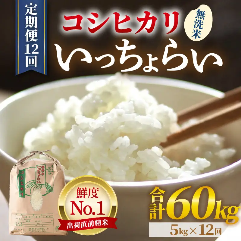 【先行予約】【令和8年産・新米】【一等米】《定期便12回》いっちょらい 無洗米 5kg × 12回（計60kg） ／ 福井県産 ブランド米 コシヒカリ ご飯 白米 新鮮 大賞 受賞 ※2026年9月下旬以降順次発送予定 [aw012-j007]