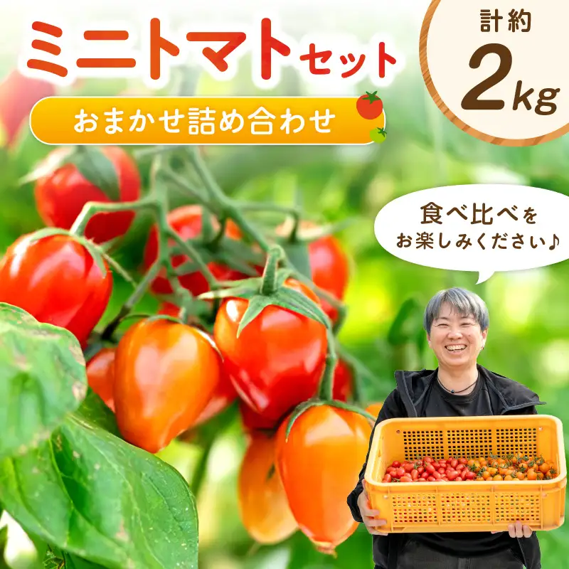 ミニトマトセット（おまかせ詰め合わせ）約2kg《先行予約》【0906-4】