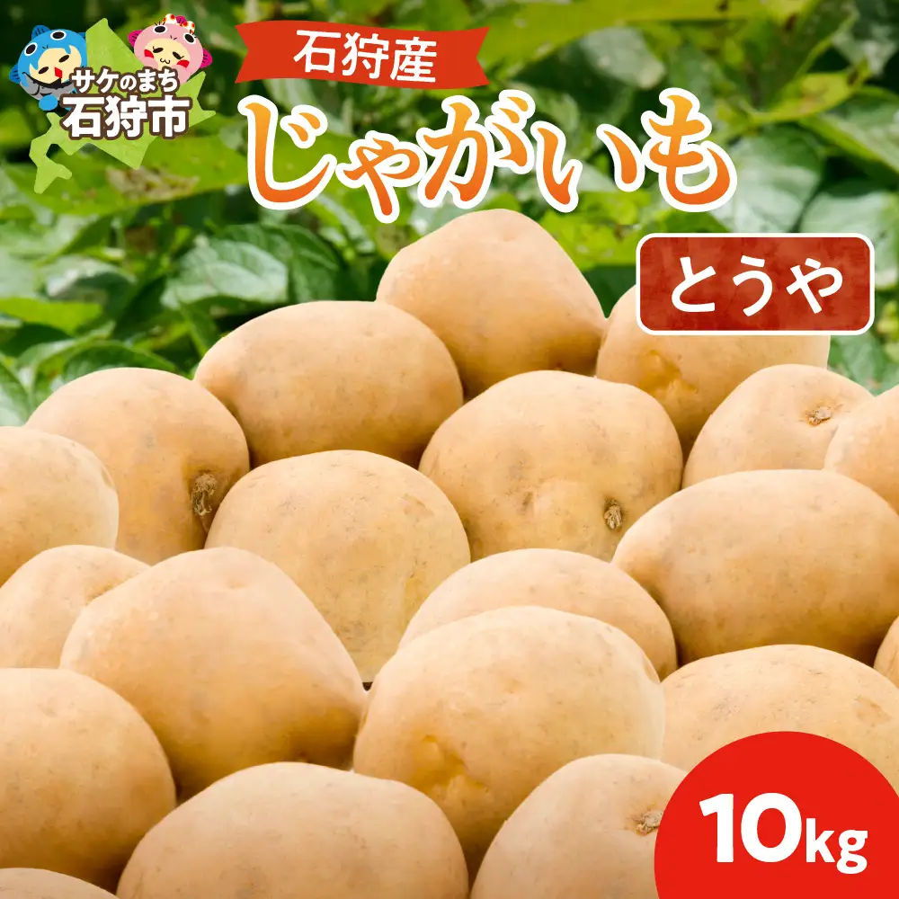 石狩産じゃがいも（とうや） 10kg【9月発送】｜ふるさと納税  北海道産 じゃがいも 野菜 北海道 石狩市