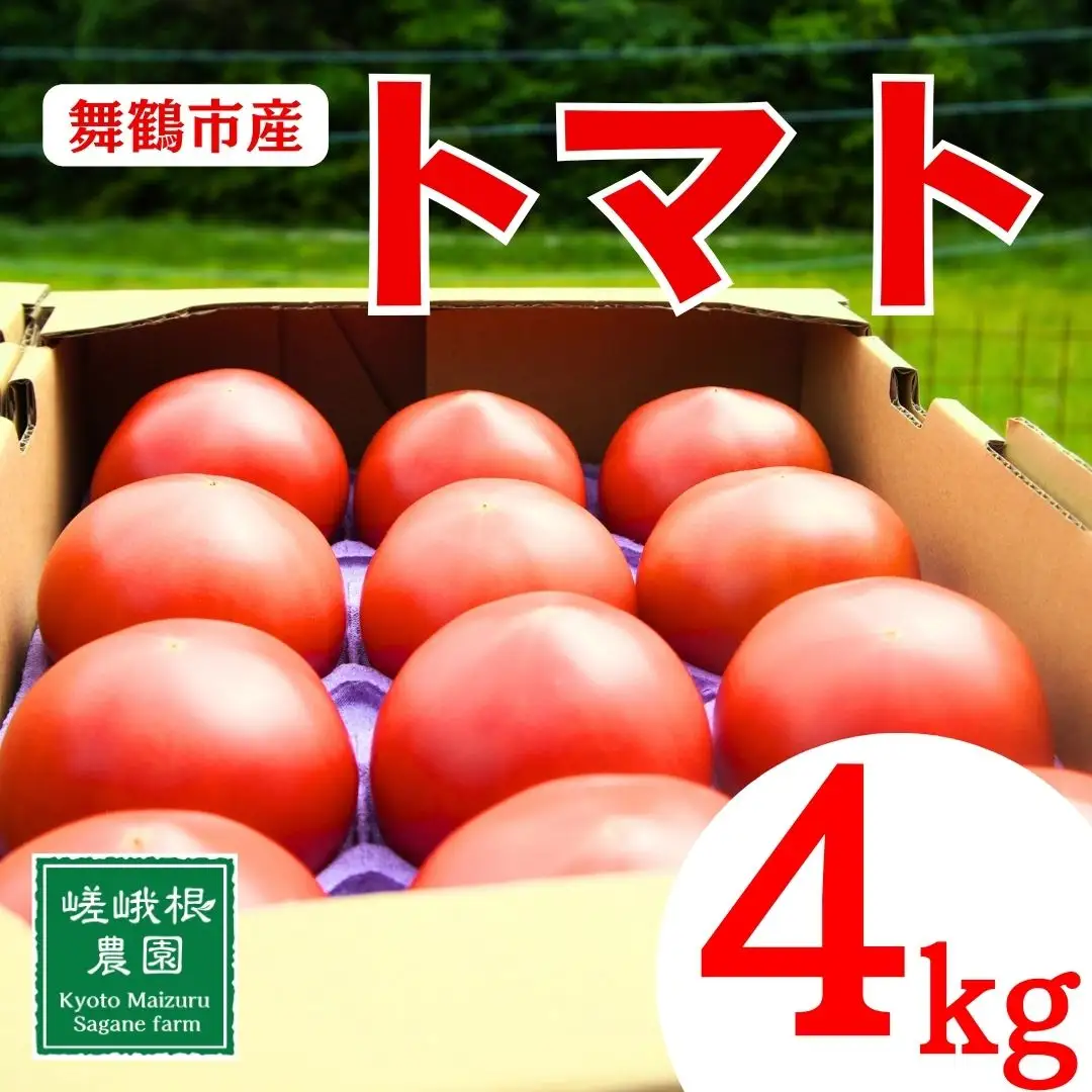 トマト 4kg 化粧箱入 とまと