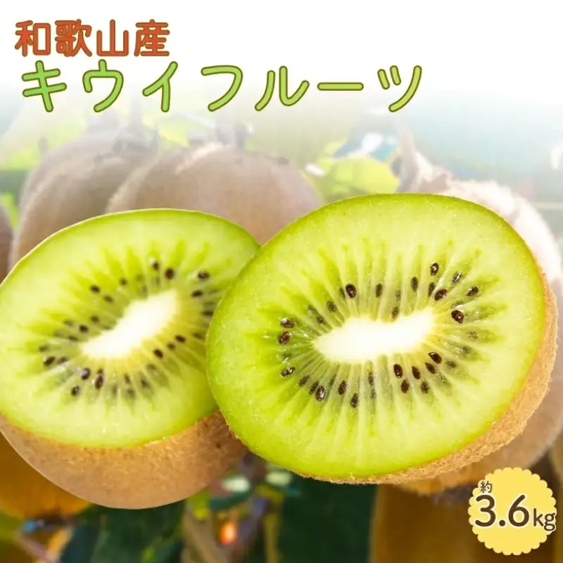和歌山かつらぎ町産キウイフルーツ約3.6kg（玉数おまかせ）秀品【2027年1月中旬～2027年3月上旬頃順次発送】【TM021-tec】
