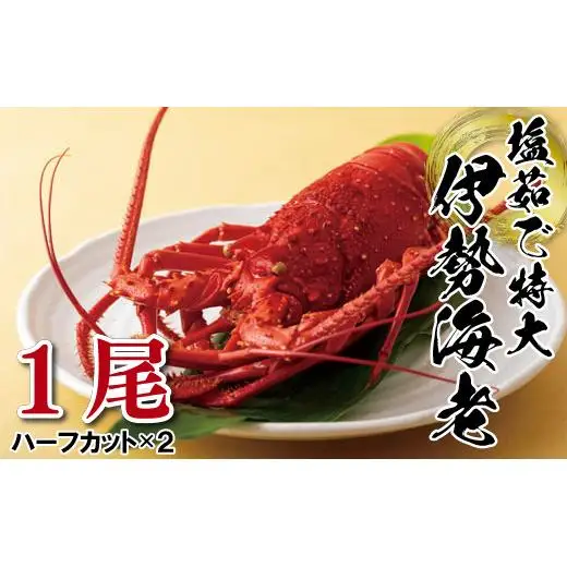 長崎県産塩茹で特大伊勢海老1尾