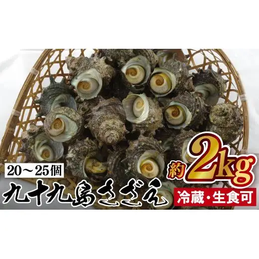 九十九島 さざえ 約2kg さざえ